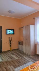 Μια τηλεόραση ή/και κέντρο ψυχαγωγίας στο ALES apartman