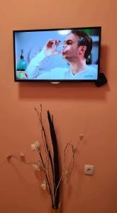 Μια τηλεόραση ή/και κέντρο ψυχαγωγίας στο ALES apartman