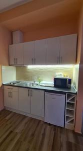 Η κουζίνα ή μικρή κουζίνα στο ALES apartman