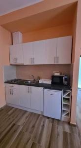 Η κουζίνα ή μικρή κουζίνα στο ALES apartman