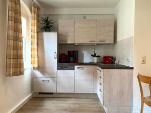 Kuchyň nebo kuchyňský kout v ubytování Ferienwohnung am Malerweg