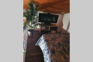 - une chambre avec une télévision, un lit et une plante dans l'établissement La Romance jacuzzi sauna jardin au calme, à Niort