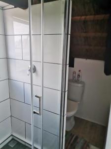 baño con aseo y puerta de ducha de cristal en Chilli Moon B&B, en Stilbaai 35 fotos más