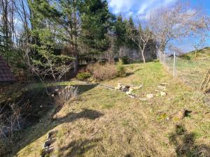 A garden outside Charmantes Ferienhaus am Waldrand