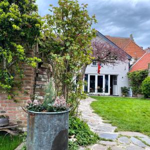 a tree in a pot in front of a house at B&B In de Oude Smederij Zaltbommel in Zaltbommel