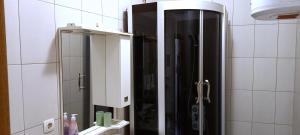 ブルチコにあるPark apartmentの鏡と黒いシャワーを備えたバスルーム