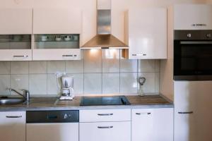 Kuchyň nebo kuchyňský kout v ubytování Fully renovated one bedroom apartment with a terrace - C