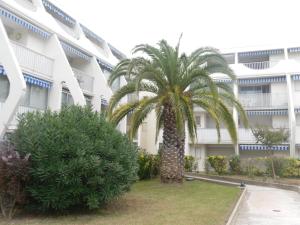 a palm tree in front of a building at Vittoria Immobilier 9 - Vue dégagée - Terrasse - chèques vacances acceptés in La Grande Motte