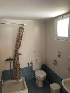 a bathroom with a toilet and a sink and a window at Aggeliki House 5 in Kómboi +16 photos