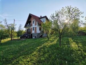 a house on a hill with a tree in the grass at Srdića Kuća in Trnava