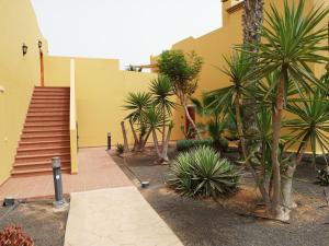 Fotografia z galérie ubytovania Marenazul v destinácii Corralejo