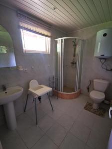 a bathroom with a sink and a toilet and a shower at Nostalgija Pervalkoje in Neringa