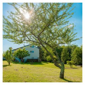 uma árvore num campo com o sol por trás dela em Chambre soignée et accueillante à la campagne - Ch. Jaune em L Honor De Cos