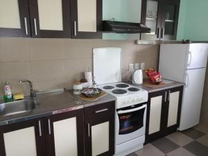 cocina con fogones blancos y fregadero en Airplane Apartment T&T en Surčin