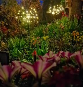 a garden with flowers and lights at night at Instytut Zdrowia i Hortiterapii in Mrągowo