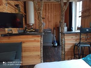 a bedroom with a bed and a tv and a bar at CABANE à DRINE in Annonay