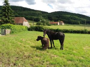 Foto dalla galleria di GITE Les Aubues a Lormes