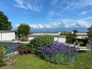 Afbeelding uit fotogalerij van Casa Rosanna in Peschiera del Garda