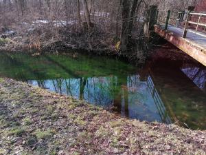 Príroda v okolí apartmánu