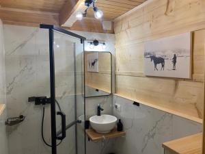 a bathroom with a shower with a sink and a shower at Góralski Domek Jasinek in Zakopane