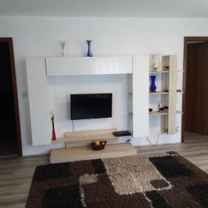 a living room with a fireplace with a tv at Charlottenhöhe Apartment in Rottweil