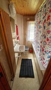 een kleine badkamer met een wastafel en een toilet bij Bi de Furre in Reckingen - Gluringen