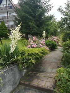 a garden with pink and white flowers and a walkway at Willa Tiramisu in Szczawnica