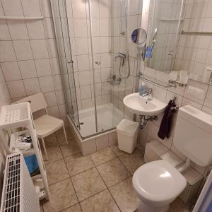 een badkamer met een douche, een toilet en een wastafel bij Ferienwohnung am Spitzberg in Suhl