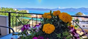 a bouquet of flowers sitting on a table on a balcony at Coralli Apartment in Khalkoútsion