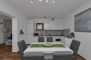 Kuchyň nebo kuchyňský kout v ubytování Apartment Sabina