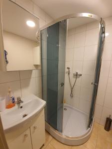 une salle de bain avec douche et lavabo dans l'établissement Akropolis Studio, à Klaipėda