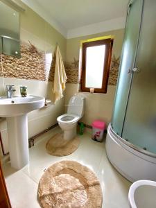 y baño con lavabo, aseo y ducha. en Casa Agroturistica Tarancuta din Vatra Moldovitei, en Vatra Moldoviţei