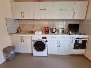 a kitchen with a washing machine and a sink at Home for you in Eşelniţa
