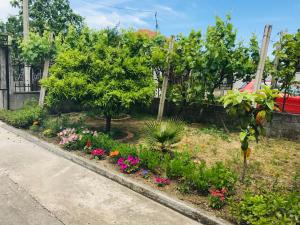 a garden with flowers and trees on a street at Villa Ajla- Entire Villa in Durrës