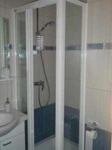扎達爾的住宿－譚美公寓，带淋浴的浴室和玻璃门