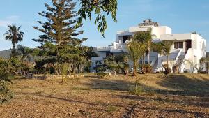 un gran edificio blanco con árboles delante de él en Eftihia Apartments en Cos