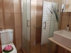a bathroom with a shower and a toilet and a sink at Palio Villa in Paleo Tsifliki +37 photos
