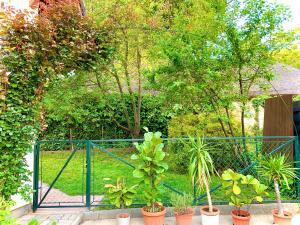 Vonkajšia záhrada v ubytovaní Balaton Apartman