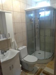 a bathroom with a shower and a toilet and a sink at Studio apartman Šafarić in Sveti Martin na Muri +45 photos