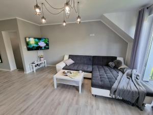 Televízia a/alebo spoločenská miestnosť v ubytovaní Domek pod świerkami - "Apartamenty świerkowe"