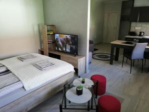 1 dormitorio con 1 cama, TV y mesa en D&D Studio Apartment en Subotica