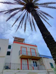 uma palmeira em frente a um edifício em Maridea - Madreperla em Ponza