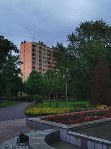 Κήπος έξω από το Apartament D&T City Center View