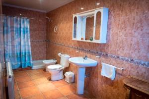 Un baño con inodoro, lavabo y ducha. en CASA RURAL ADELA, en Odón