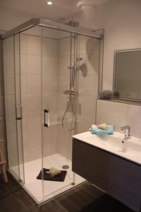 a glass shower in a bathroom with a sink at Ferienwohnung Havenwelten in Bremerhaven