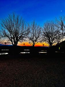 un gruppo di alberi con il tramonto sullo sfondo di Agriturismo La Chiusa Tuscany a Montefollonico