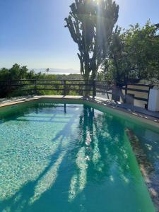 uma piscina de água com uma árvore ao fundo em Limone em Capitana