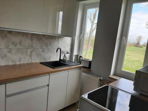 a kitchen with a sink and a counter top at Dom Gościnny Sierosław in Kołczewo