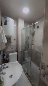 a bathroom with a shower and a toilet and a sink at On Khimshiashvili Apartment in Batumi