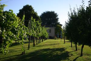 Foto dalla galleria di Villa Lilli 3 a Ferrara